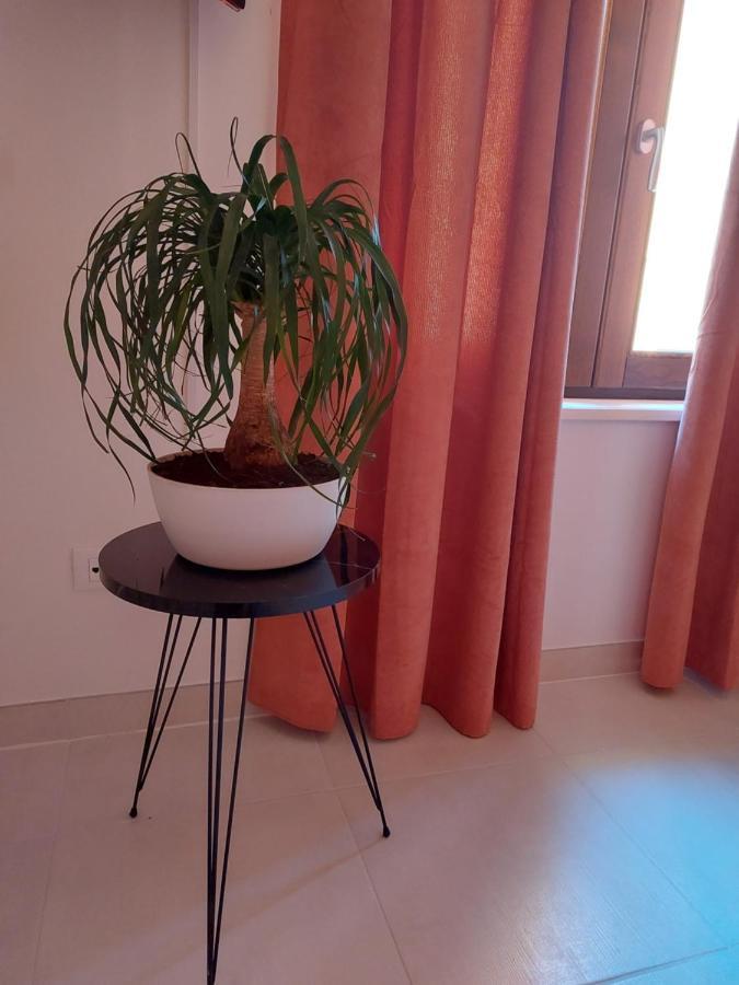 B & B Piazza Angioina 拉奎拉 外观 照片