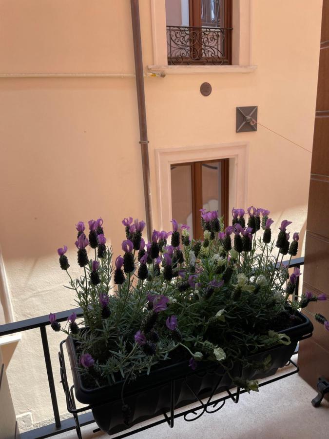 B & B Piazza Angioina 拉奎拉 外观 照片